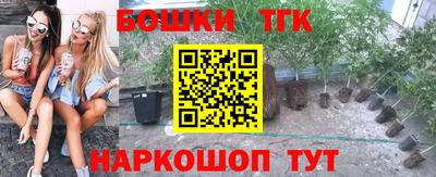тгк Сланцы