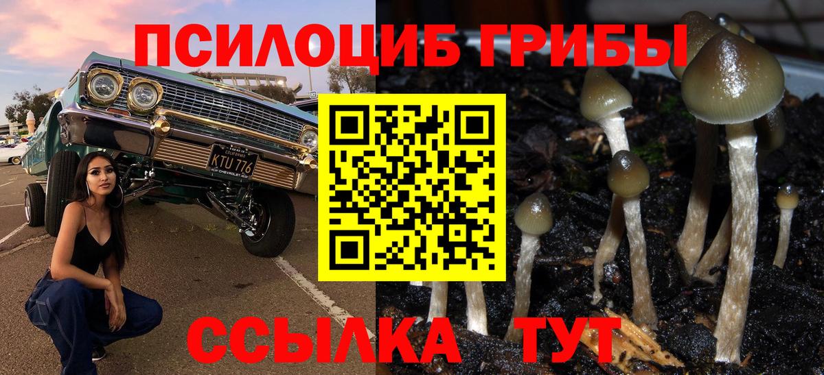 наркота  Вход с VPN  Обнинск  Псилоцибиновые грибы MAGIC MUSHROOMS 