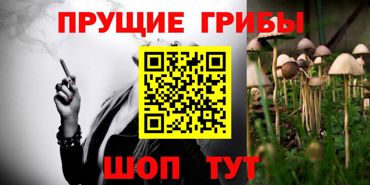 Галлюциногенные грибы GOLDEN TEACHER Обнинск